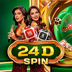 24D Spin cover art